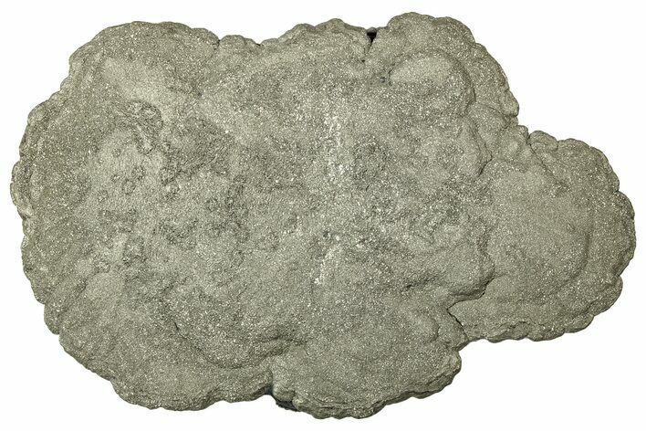 Pyrite Sun - Sparta, Illinois #316003